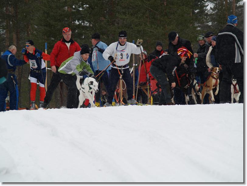 Nästa bild